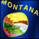 3D Montana Flag