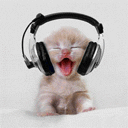 Headphones cat