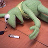 Kermit overdosed