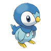 Piplup watching
